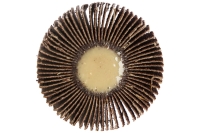 Круг лепестковый с оправкой (50х15мм; P 80) ПРАКТИКА 648-991 Круг лепестковый с оправкой (50х15мм; P 80) ПРАКТИКА 648-991