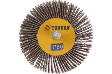 Круг лепестковый радиальный (60х20х6 мм; Р80) ТУНДРА 1875464