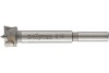 Сверло Форстнера по дереву (19х77 мм) СИБРТЕХ 704819