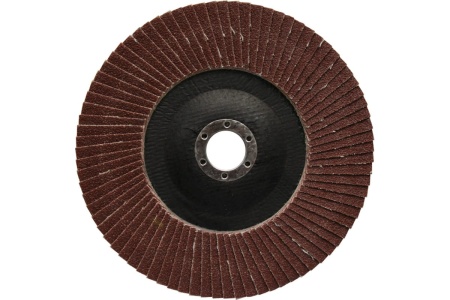 Круг лепестковый шлифовальный (150х22 мм; Р 36) ПРАКТИКА 919-259