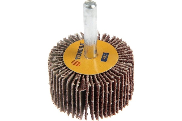 Круг лепестковый радиальный (40х20х6 мм; Р80) ТУНДРА 5162353