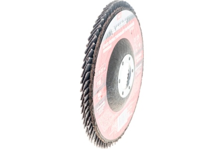 Круг лепестковый торцевой (P60; 125x22.2 мм) MATRIX 74043