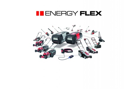 Аккумуляторная пила AL-KO CS 4030 EnergyFlex 113616