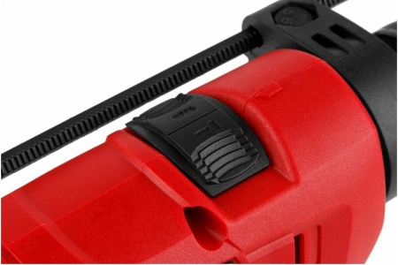 Ударная дрель WORTEX DS 1306-2 DS130620019