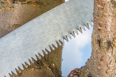 Садовая изогнутая пила в пластмассовом чехоле VERTO 15G101