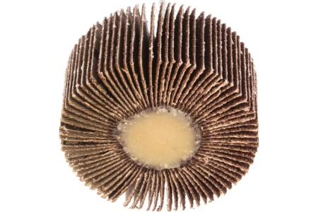 Круг лепестковый с оправкой (60х30 мм; P80) ПРАКТИКА 649-059