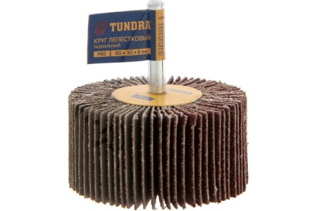 Круг лепестковый радиальный (60х30х6 мм; Р80) ТУНДРА 1875467