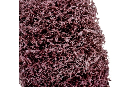 Круг лепестковый нетканый на оправке 50x30x6 мм, coarse Totflex 4631165599830