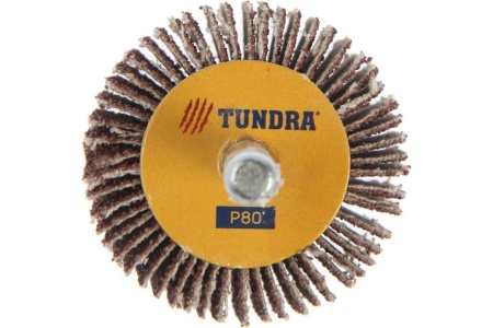 Круг лепестковый радиальный (40х20х6 мм; Р80) ТУНДРА 5162353