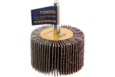 Круг лепестковый радиальный (50х30х6 мм; Р80) ТУНДРА 5162356