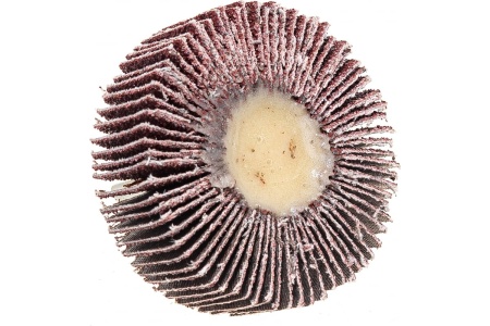 Диск лепестковый радиальный для дрели (60х20 мм; P60) FIT IT 39563