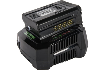 Бесщеточная аккумуляторная цепная пила Greenworks GC82CS25 82 В, с АКБ 2.5 А*ч и ЗУ 2007507UA