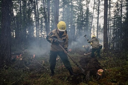 Топор-мотыга Лесхозснаб 4631140678086