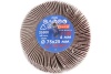 Круг лепестковый абразивный радиальный (75x25 мм; хв-к 6 мм; P100) ДИОЛД 90018011