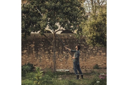 Промонабор Fiskars: телескопический универсальный сучкорез UPX86, насадка пила 1023634