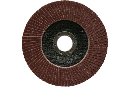 Круг лепесковый торцевой (125 мм; Р100) ПРАКТИКА 032-386