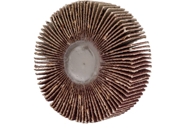 Круг лепестковый с оправкой (50х15 мм; P180) ПРАКТИКА 649-011